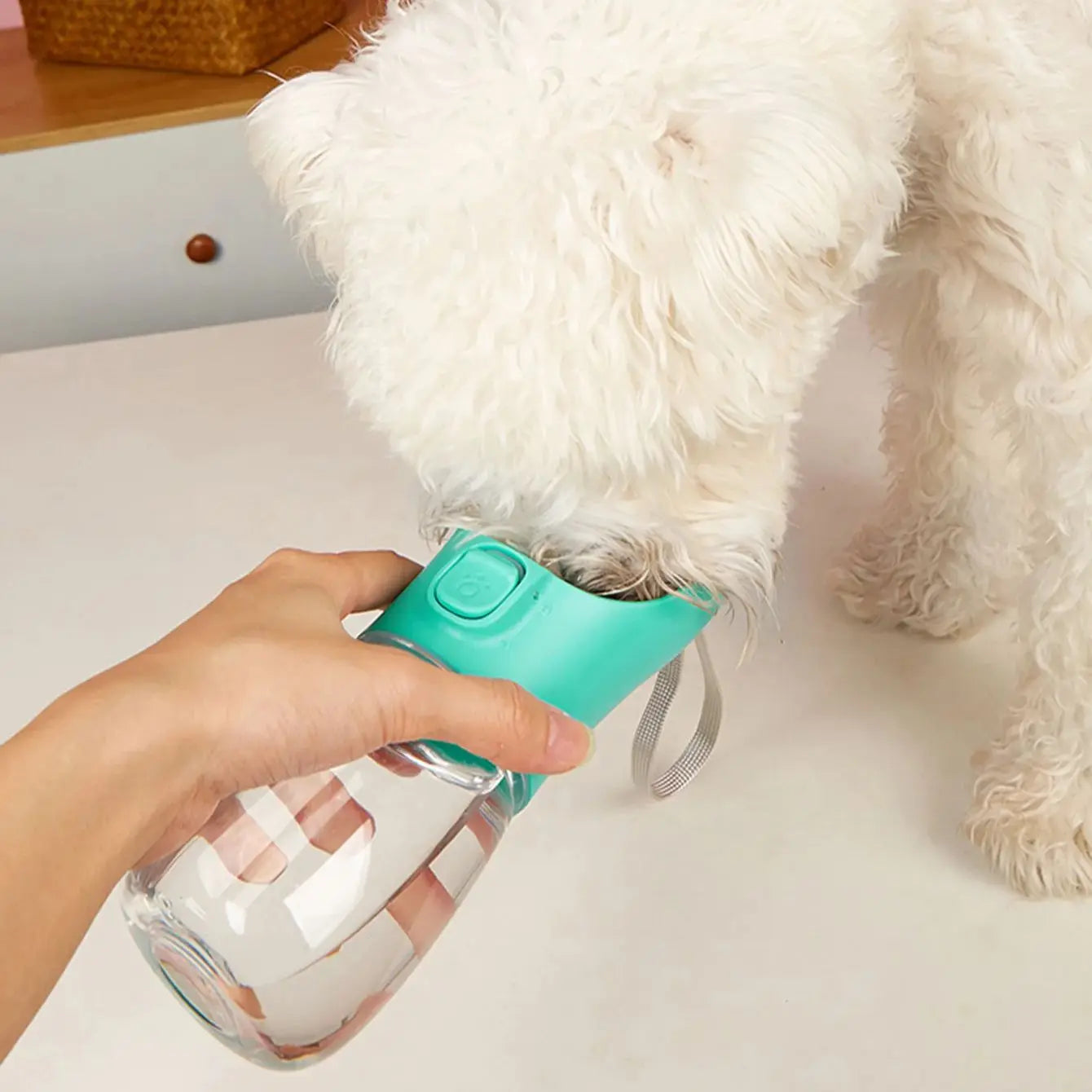 PUPBODY Water Bottle