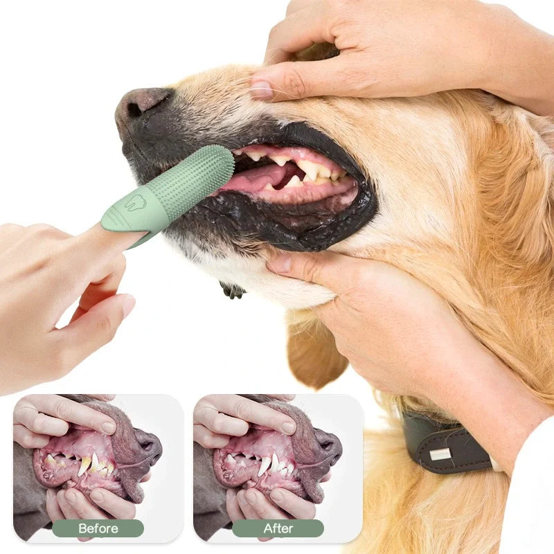 PUPDOG | Dog Tooth Cleaner